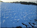 Snow-covered field near to Lower Park House