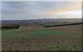 Fields south of White Lane