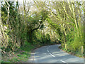 SU5917 : Swanmore Road towards Droxford by Robin Webster