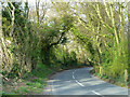 Swanmore Road towards Droxford