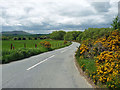 Country road near Pennerley (2)