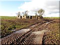 ST4951 : Derelict farm building on New Road by Roger Cornfoot