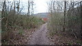 Path to Bodenham Lake Viewing Hut #1