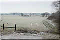 Frozen fields near Cronton