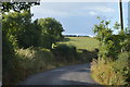 W6550 : Rural road, County Cork by N Chadwick