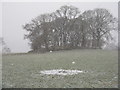 Site of a Homestead  at Mains of Pitcastle