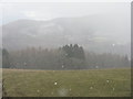 NN9854 : Snow shower over the Tummel valley by M J Richardson