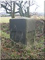 Old Milestone by the A933, Kinnell Parish