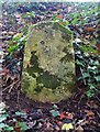 Old Boundary Marker on Huddinknoll Hill, Harescombe Parish