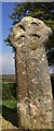 Old Wayside Cross at Tresleacross, Cardinham Parish