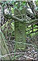 Old Boundary Marker by footpath to Anslow, Outwoods Parish