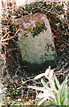 Old Milestone by the B4389, Gibbet Road, Llanfair Caereinion Parish