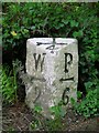 Old Milestone by the A747, Glasserton Parish