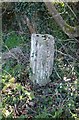 Old Boundary Marker by the A3052, Sidmouth Road, Combpyne Rousdon Parish