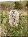 Old Boundary Marker east of Friar Waddon, Weymouth Parish