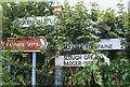 Old Direction Sign - Signpost west of RSPCA centre, West Hatch Parish