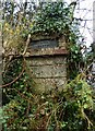 Old Guide Stone by Aish Cross, South Brent Parish