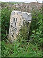 Old Milestone by the A714, Baltersan Cross, Penninghame Parish