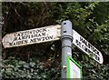 Old Direction Sign - Signpost by Summer Lane, Evershot Parish