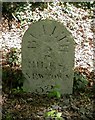 Old Milestone by the A483, Pencerrig, Llanelwedd Parish