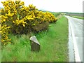 Old Milestone by the A9, north of Trentham Hotel, Dornoch Parish