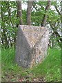 Old Milestone by the A82, south of Lairgmore Croft, Loch Ness