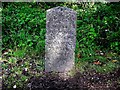 Old Milestone by the A283, Petworth Road, Godalming Parish