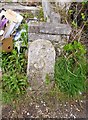 Old Milestone by the Templer Way, Bovey Tracey Parish