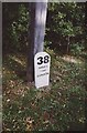 Replica Milestone by the former A24, Worthing Road, Southwater Parish