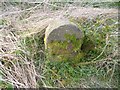 Old Milestone by the B4427, Old Gloucester Road, Frampton Cotterell Parish