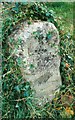 Old Milestone by the A371, Ansford Hill, Ansford Parish