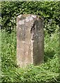 Old Milestone by the A30, near Manor Farm, Sutton Mandeville Parish