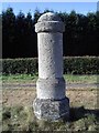 Old Milestone by the former A638, Old London Road, Markham Moor