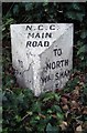 Old Milestone by Yarmouth Road, Stalham Parish