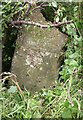 Old Milestone by the B4040, Malmesbury Road, Easton Grey Parish