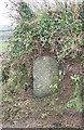 Old Milestone by Bircham Farm, Burrington Parish