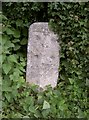 Old Milestone by the A3090, south of Standon, Hursley Parish