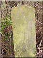 Old Milestone by the A48, Stantway, Westbury on Severn Parish