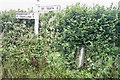 Old Direction Sign - Signpost by the B3267, Trewethen, St Kew Parish