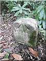 Old Boundary Marker by Butts Ash, Hythe and Dibden Parish