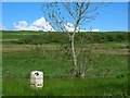 Old Milestone by the A846, Ballygrant, Islay