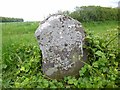 Old Boundary Marker on Toyd Down, St Martin Parish