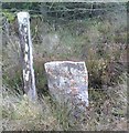 SJ0937 : Old Boundary Marker on Berwyn, Ceiriog Ucha Parish by Milestone Society