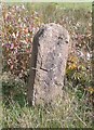 Old Boundary Marker near Fanny Brook, Ring Lows, Rochdale