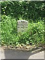 Old Milestone by the A475, Maesnewydd, Llandysul Parish