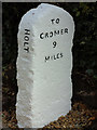 Old Milestone by Cromer Road, Holt Parish, North Norfolk
