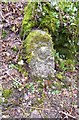 Old Bridge Marker east of Ward Bridge, Sampford Spiney