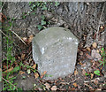 Old Milestone by the A396, south of Stoke Canon