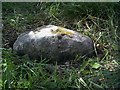 Old Milestone by Main Road, Great Leighs