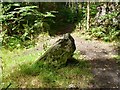 Old Boundary Marker by Roman Road, Wareham